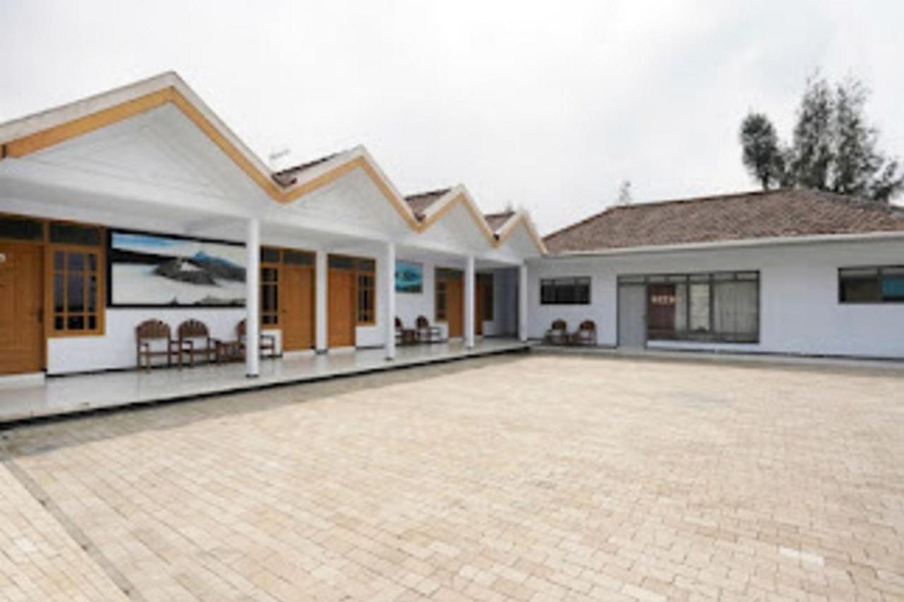 Ambar Tosari Homestay At Desa Wisata Bromo باسوروان المظهر الخارجي الصورة